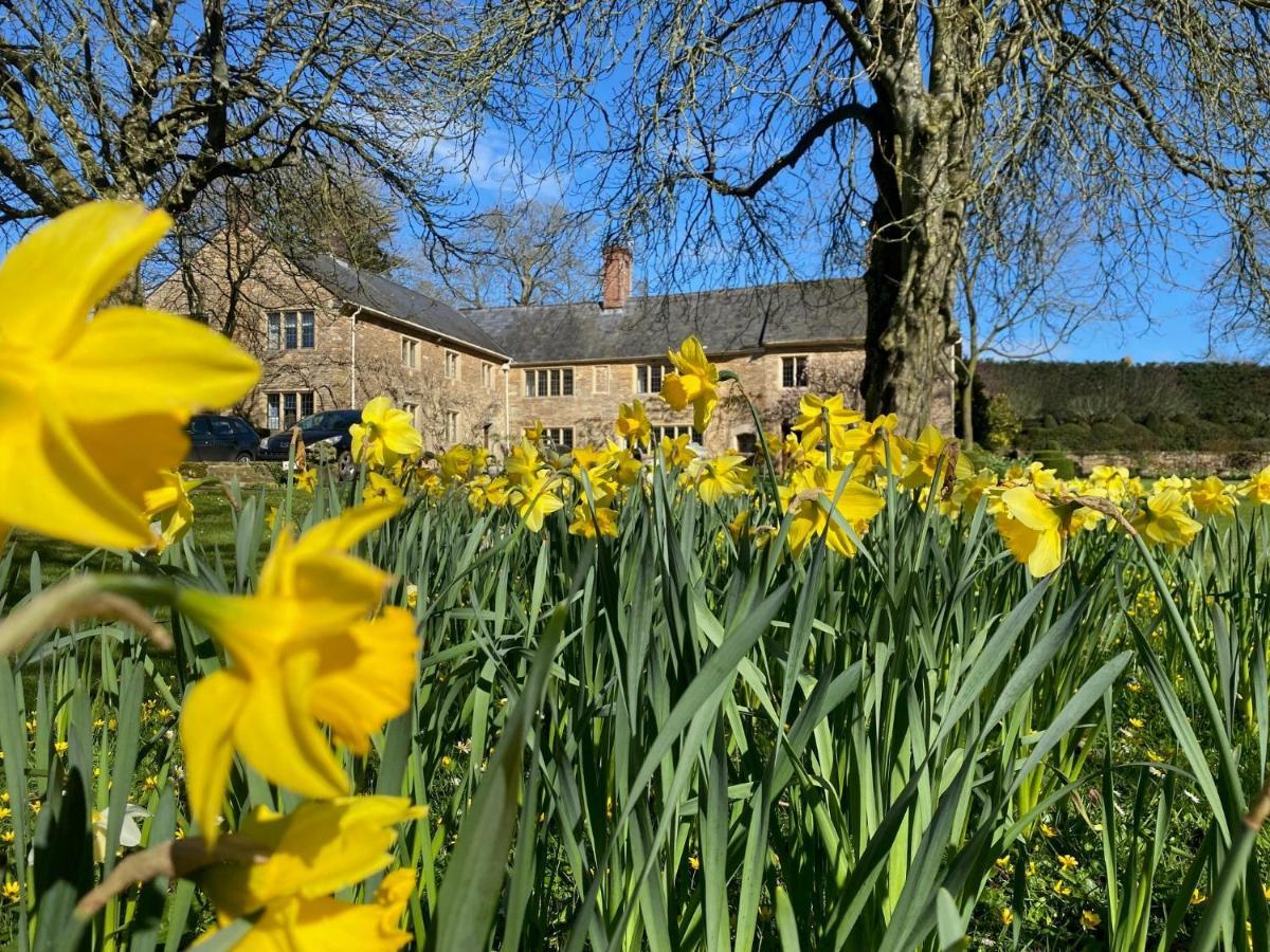 Plumber Manor 4* Sturminster Newton